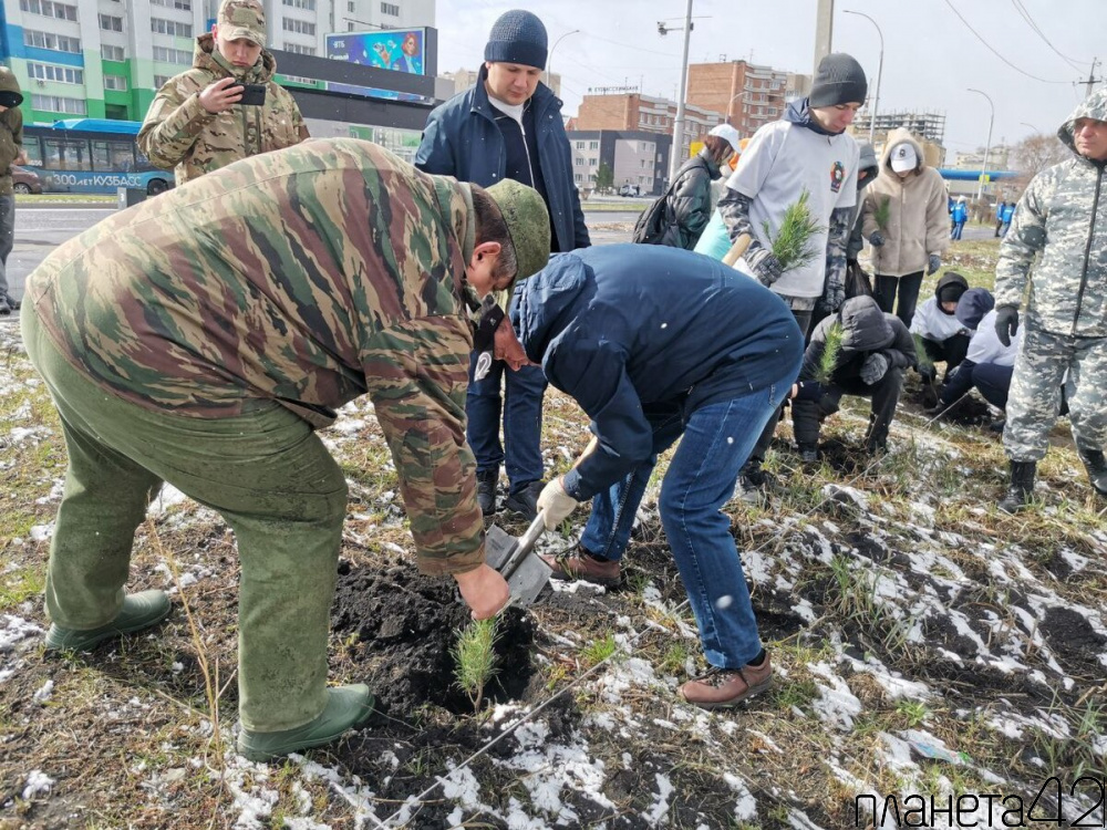 Илья Середюк: в год 80-летия Победы в рамках акции «Сад Памяти» в Кузбассе высадят 2 миллиона деревьев