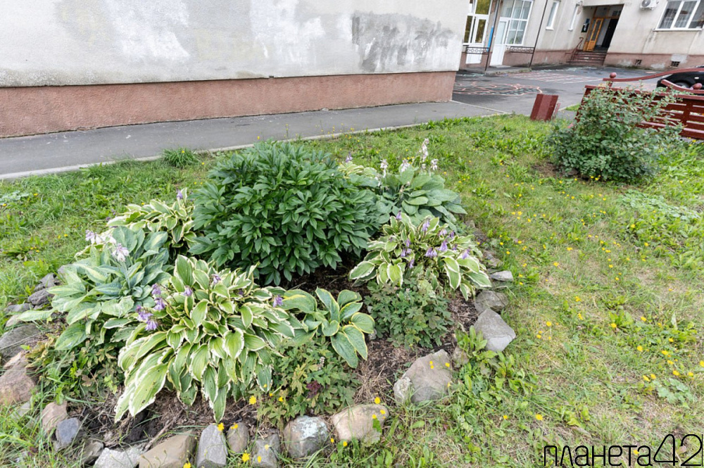 В Кемерове подвели итоги конкурса «Любимому городу – красивый дом и двор»