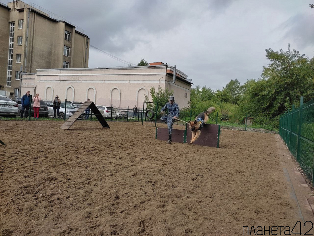 Новую площадку для выгула собак открыли на улице Дзержинского по программе инициативного бюджетирования