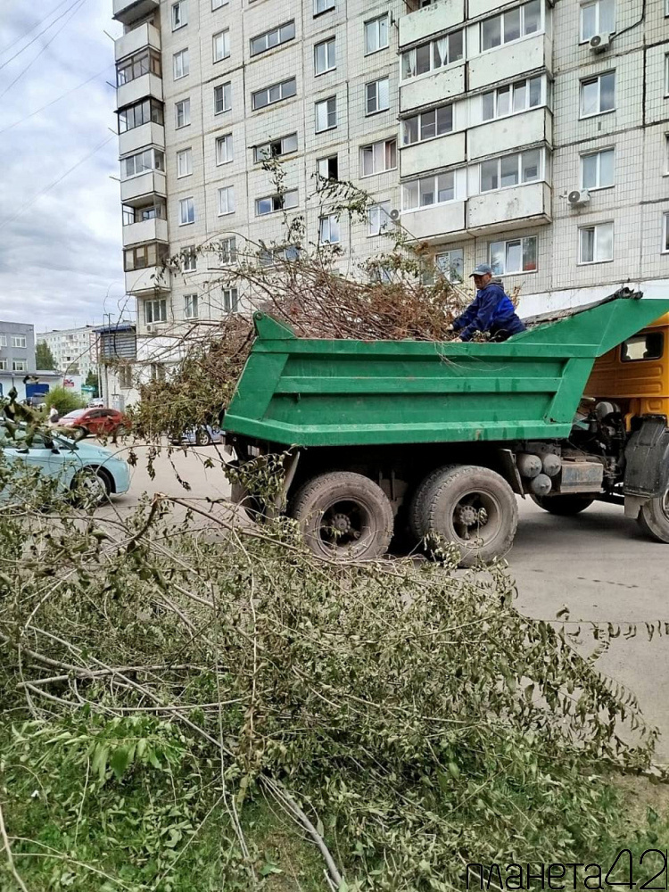 Кемеровские дорожные и коммунальные службы наводят порядок во всех районах города
