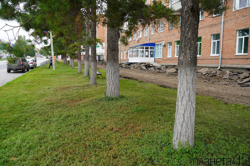 В Юрге приступили к благоустройству аллеи по улице Волгоградская